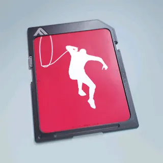 LASSO LEGEND
