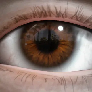 BROWN EYES