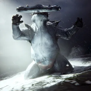 HAMMERHEAD NED SET