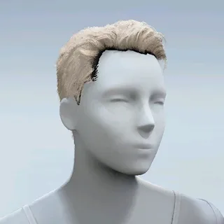 HAIR
