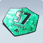 S7 EMERALD — Alternate