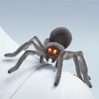 WEB DESIGNER