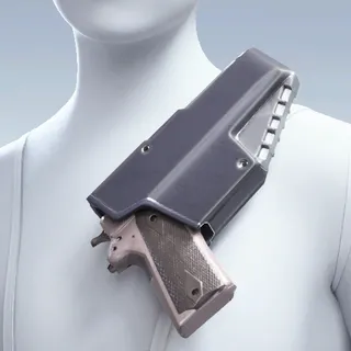 ORNAMENTAL SIDEARM
