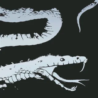 CONTRAST VIPER