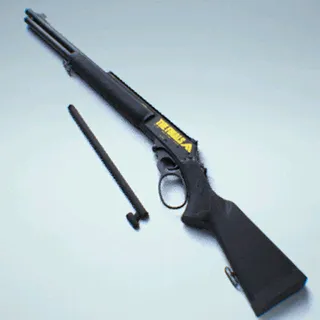 STANDARD ISSUE