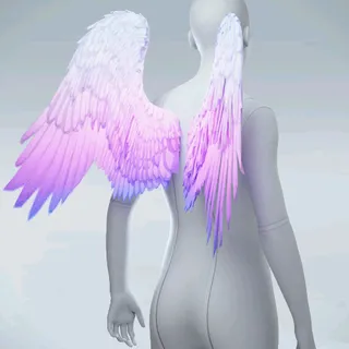 SKYWARD GRACE