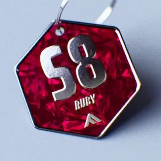 S8 RUBY