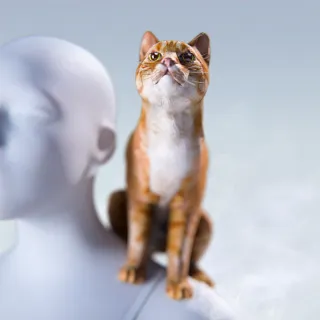NINE LIVES LEFT