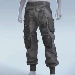 SERVICE CARGOS