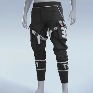 TSM CARGOS