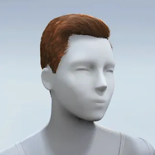 HAIR