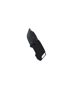 FLIP-OUT FLAYER — In game