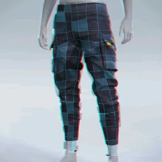 DISCONTINUITY PANTS