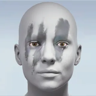 ICEVEINS