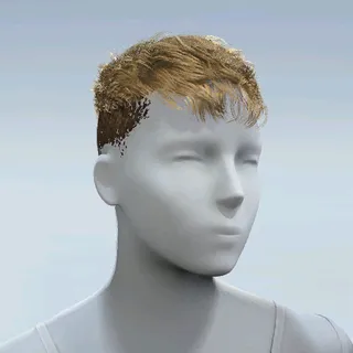 HAIR
