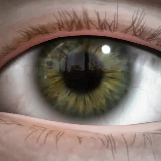 HAZEL EYES