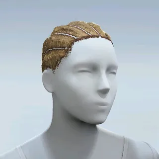 HAIR
