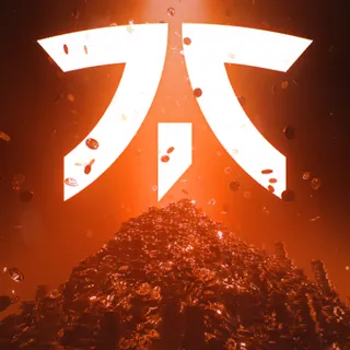 FNATIC CARD