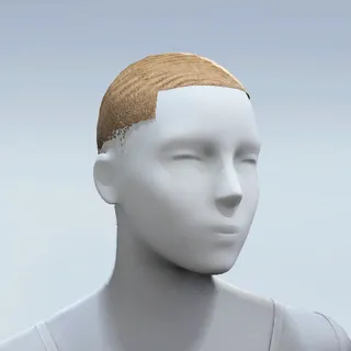 HAIR