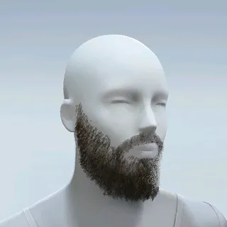 FULL BEARD