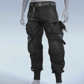 PREDATOR CARGOS