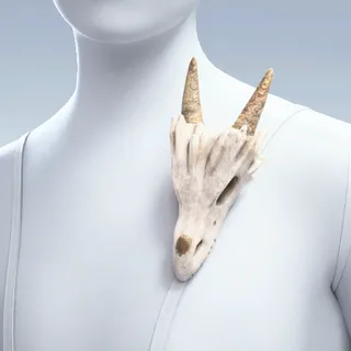 PROOF OF HUNT