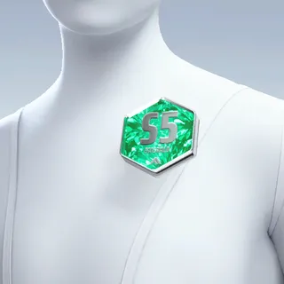 EMERALD AUTHORITY