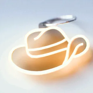 NE10-GALLON HAT
