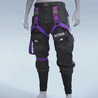 NTMR CARGOS