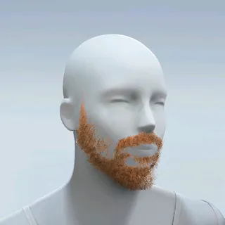 SCRUFFY BEARD