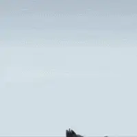 FAMAS ANIMATIONS SET