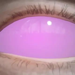 PURPURA ETERNA