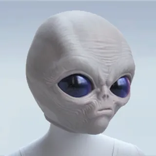 MAJOR ANOMALY HEAD