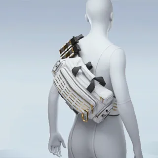 VANGUARD BACKPACK