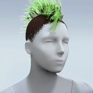 HAIR