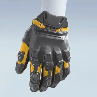 BACK TO ORDER GLOVES
