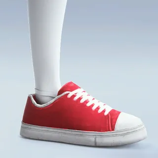CANVAS SHOES