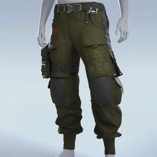 VAULT CONTROL CARGOS
