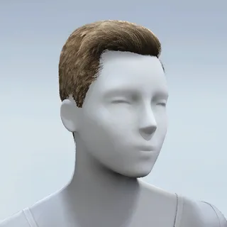 HAIR