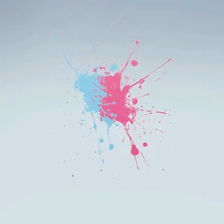 PALETTE POP