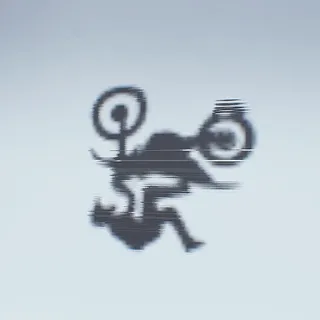 ROOST RIDER