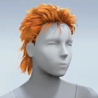 HAIR