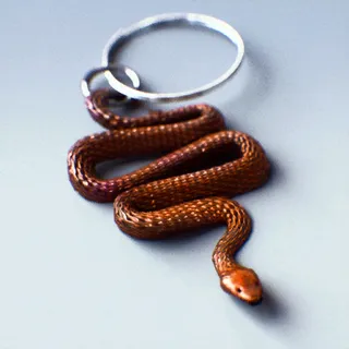 COILED AND READY