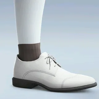 TRADITION TREADERS