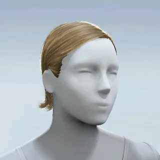HAIR