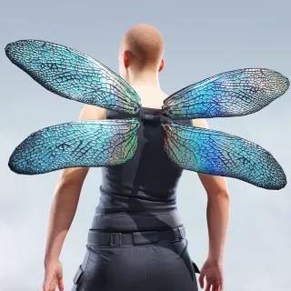 SHIMMER WINGS — Alternate