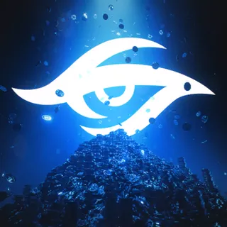 TEAM SECRET CARD