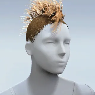 HAIR