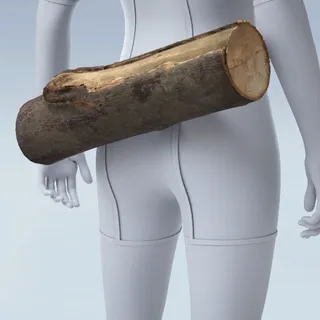 LUMBER SUPPORT