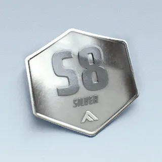 S8 SILVER